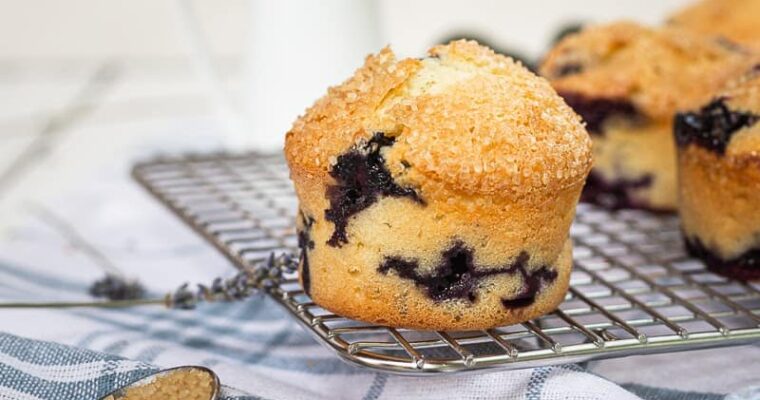 Muffins à la Myrtille