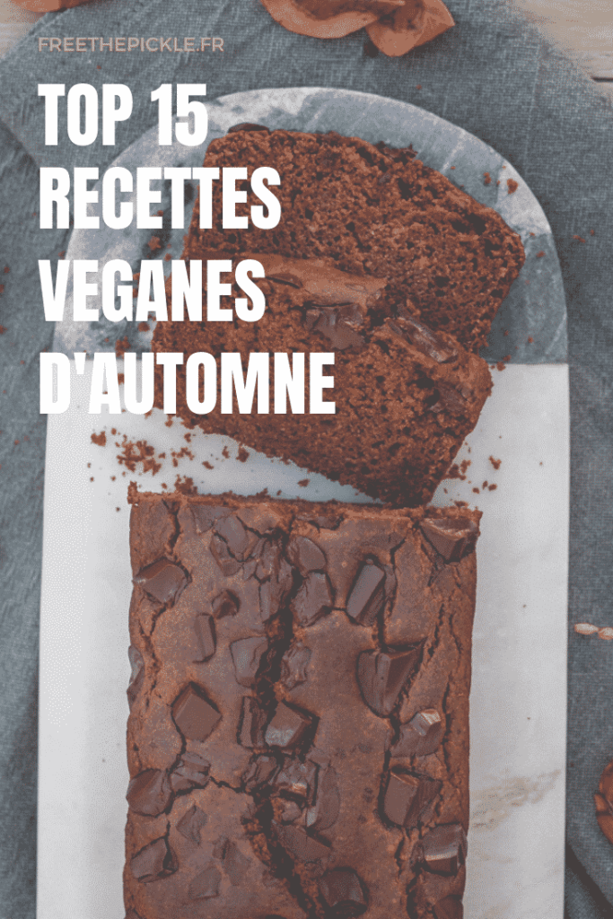 Notre top 15 de recettes veganes parfaite pour cet automne ! Des recettes salées et sucrées ! Miam !