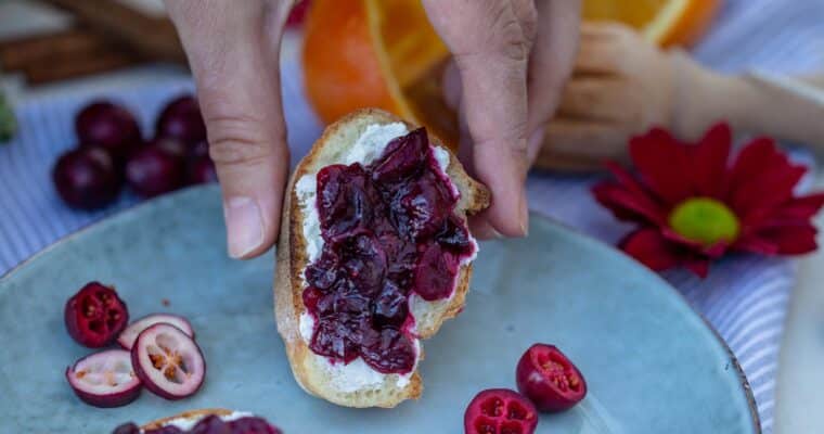 Toasts Végétarien au Relish de Cranberries et Chèvre Frais