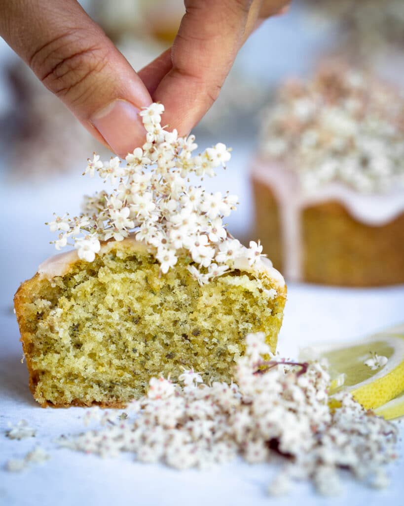 Découvrez ces muffins aux fleurs de sureau et au zeste de citron ! Ils sont faciles à préparer et super moelleux ! Une façon originale de cuisiner les fleurs de sureau !