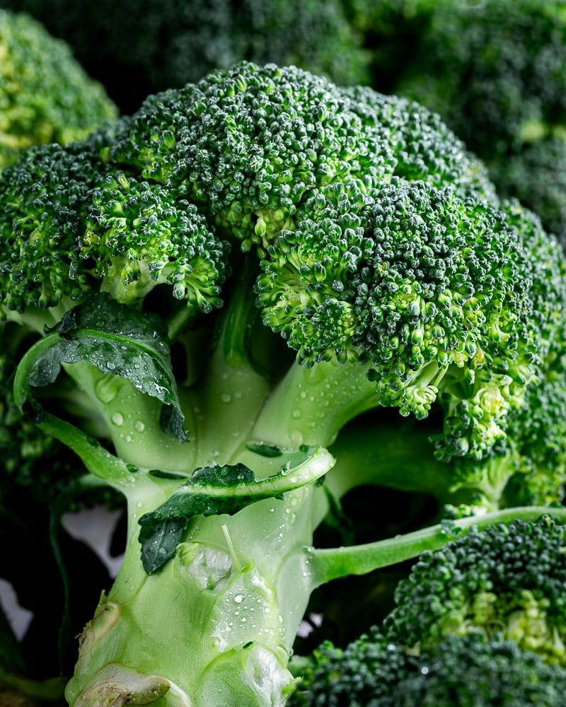 Le brocoli