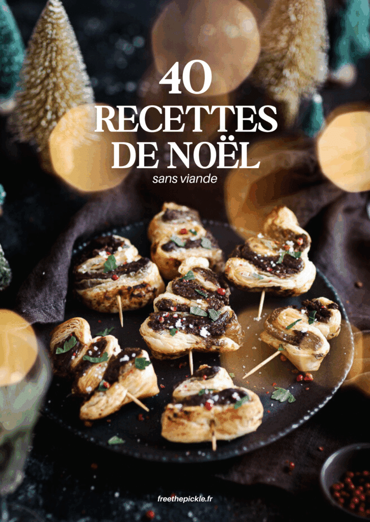 Découvrez un nouvel ebook de recettes spécial Noël végé : 40 idées festives et gourmandes pour un réveillon sans viande ni poisson !